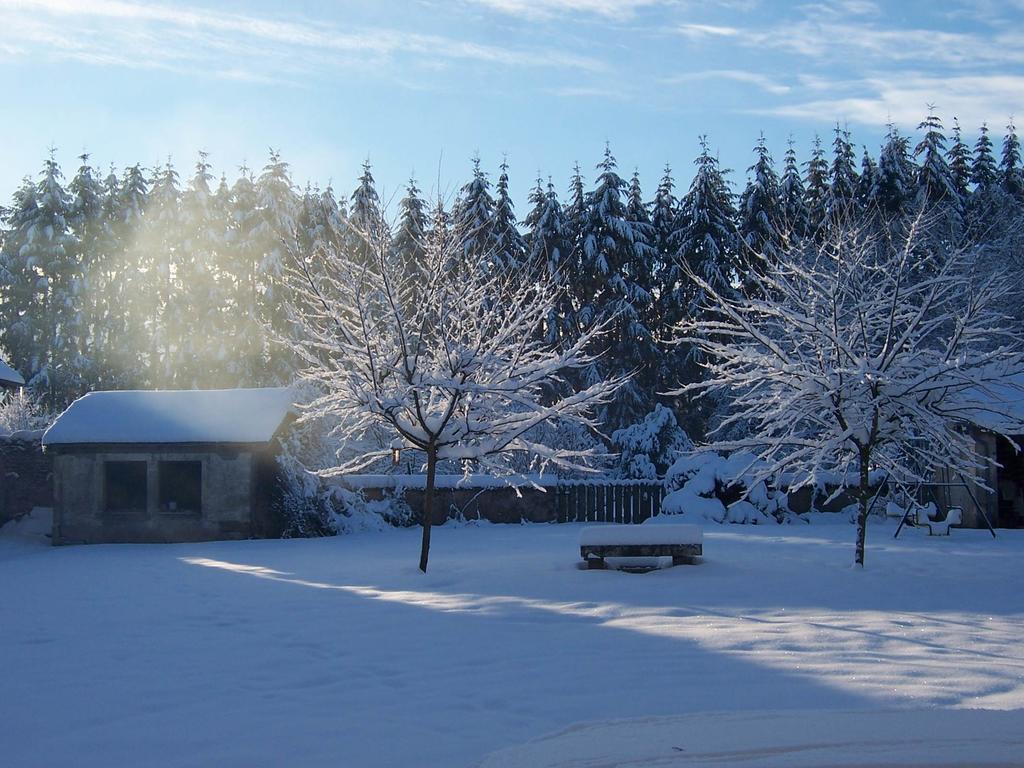 Le Faing Du Bray Bed & Breakfast Plombières-les-Bains Eksteriør bilde